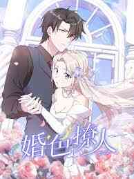 Billionaires Masked Bride S1